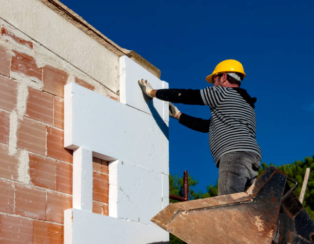 Best Insulation Contractors for Homes  in Liolnton, NC