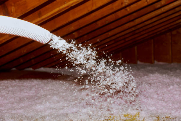 Best Best Insulation Companies  in Liolnton, NC