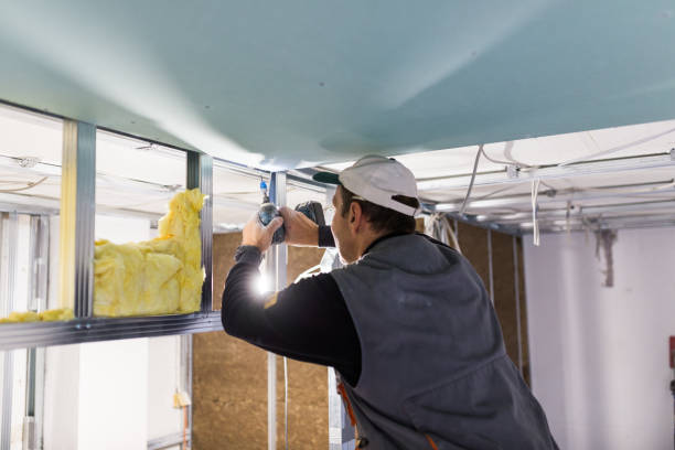 Best Commercial Insulation Contractor  in Liolnton, NC