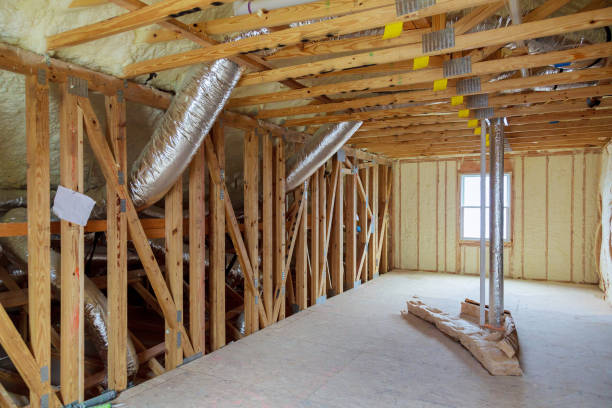 Best Cellulose Insulation  in Liolnton, NC