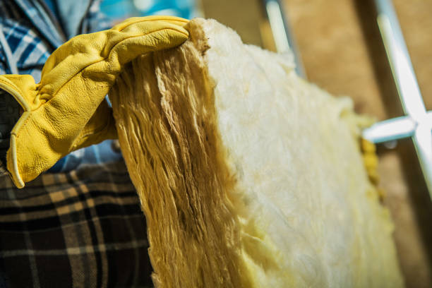 Best Affordable Insulation Services  in Liolnton, NC