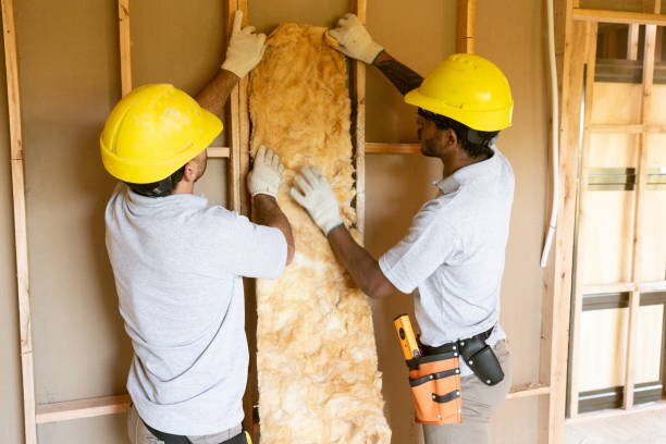 Best Attic Insulation Near Me  in Liolnton, NC