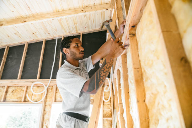 Best Professional Insulation Contractor  in Liolnton, NC