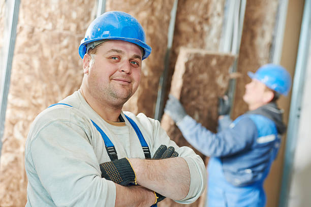 Best Cellulose Insulation  in Liolnton, NC