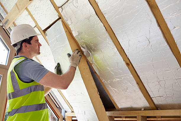 Best Spray Foam Insulation  in Liolnton, NC