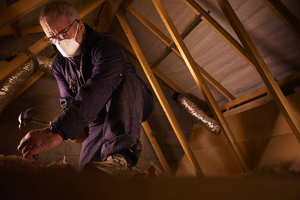 Best Soundproof Insulation Installation  in Liolnton, NC